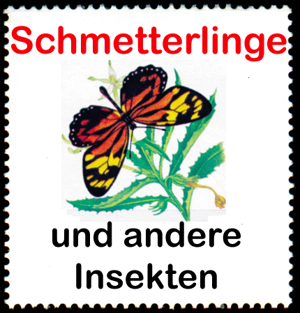 Link buch 129  Schmetterlinge